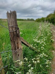 old wooden fence