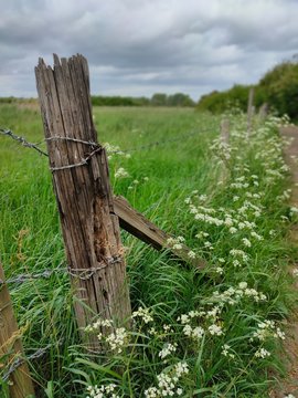 Old Wooden Fence