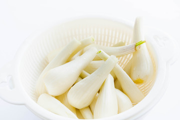 生のらっきょう