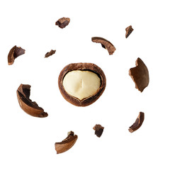 crushed macadamia nut