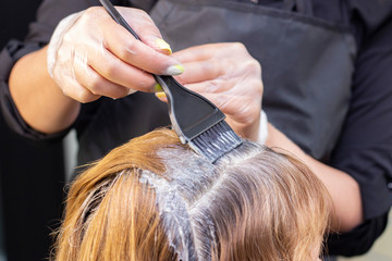 gray hair. Application of hair dye to regrown gray hair roots. beauty salon