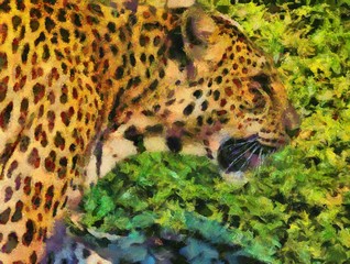 leopard Illustrations creates an impressionist style of painting.