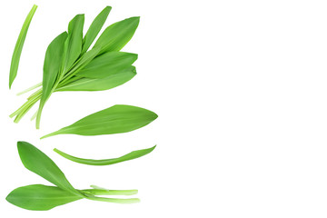 Ramson leaves isolated on white background with clipping path and full depth of field, Top view with copy space for your text. Flat lay