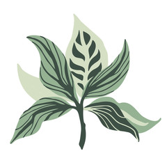 Poster with tropical leaves. Hand-drawn stylized leaves on the white background. Botanical illustration for home decor.