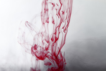Tea bags - macro photo