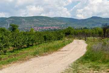 Fototapeta na wymiar Dirt Road in Rural Region With Village in The Background