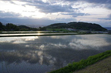 田んぼ夕映え K3BP6302