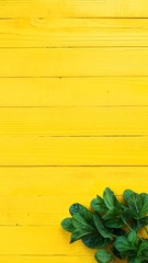 yellow flower on wooden background