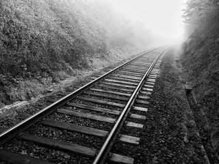 Railroad Tracks On Field In Foggy Weather