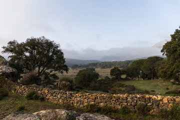 landscape of the Sierra de Cádiz, Grazalema. Stone wall in a mountainous area with vegetation...