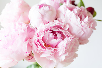 Obraz na płótnie Canvas Close up Smooth pink petals peony flowers. Background.