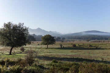 landscape of the Sierra de Cádiz, Grazalema. Mountainous area with vegetation and low clouds...