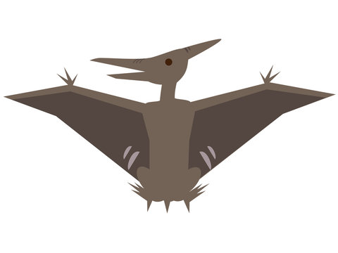 141 Best プテラノドン Images Stock Photos Vectors Adobe Stock