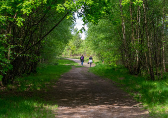 Countryside Trail