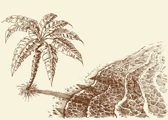 Palm tree on a beach hand drawing. Sea shore seen from above