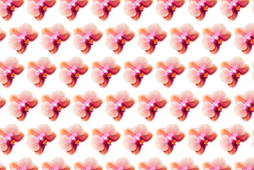 Pattern made from Orchid Plant