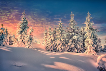 Fantastic winter landscape during sunset. colorful sky glowing by sunlight. Dramatic wintry scene....