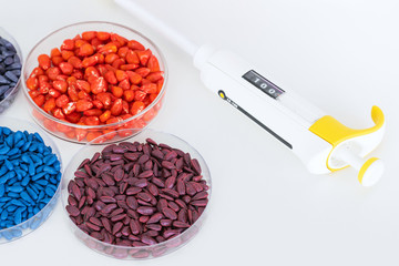 Herbicide-treated sunflower and corn seeds in a Petri dish on a table with a dispenser