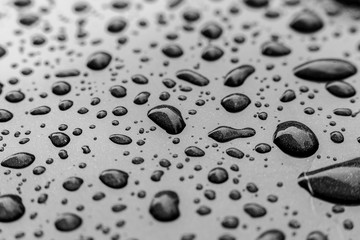 Raindrops on the roof of the car, black and white image, macro, selected focus