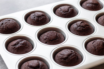 Freshly baked chocolate muffins in a baking pan. close-up. horizontal image. side view.