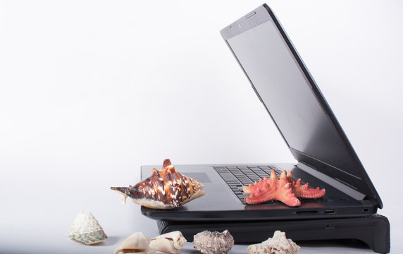 black laptop with shells on a white background.