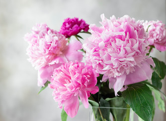Close-up of a pastel pink peonies bouquet on a gray background. Flowers composition. horizontal image.