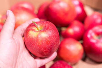 Close up view of fruits shelf in supermarket. hand taking red apples in the store. male hand taking fruit from a shelf. man holds one selected apple in a store or market. Juicy and fresh fruits