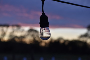 light bulb on sunset background