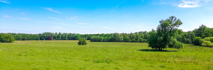 Fototapeta na wymiar landscape of green field and blue sky