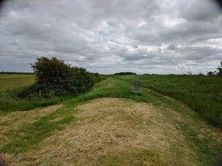 country road in the field