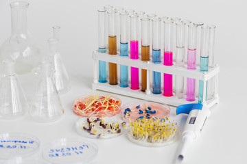 Herbicide-treated corn, suflowers, chick-pea seeds in a Petri dish and sprouted seeds on a table with a dispenser and test tubes