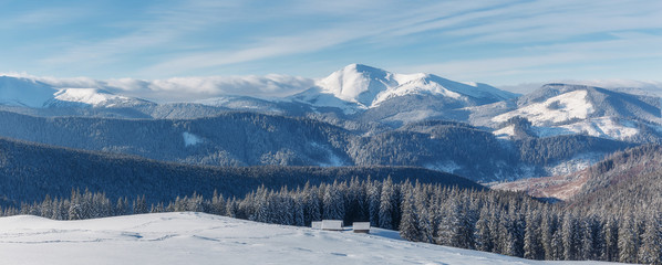 Majestic Carpathian Mountains in winter. Wonderful Wintry Landscape. Awesome alpine Highland at Sunny day. Amazing view on snowcovered mountains and white spruces under Sunlight sparkling in the snow