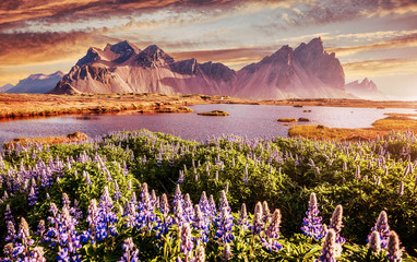 Scenic image of fairy-tale Vestrahorn Mount with colorful sky. Scenic image of famous Stokksnes...