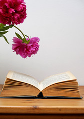 Old vintage open book with peony flowers on the wooden table. 