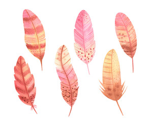 Watercolor boho feathers isolated on white background. Hand painted vintage feathers set perfect for wedding invitation, cards, birthday design. 