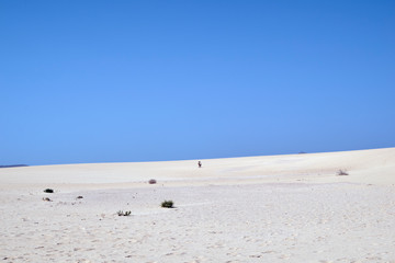 Beautiful view of the Corralejo dunes in Fuerteventura, Canary Islands