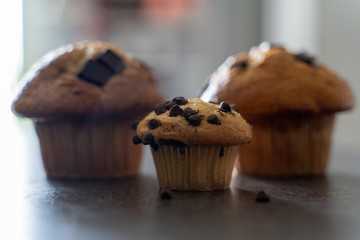 chocolate chip muffin
