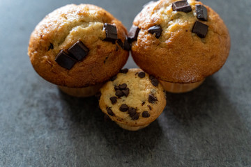 chocolate chip muffin