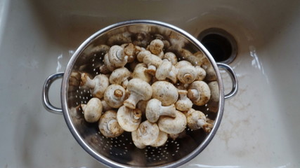 Colander of Mushrooms