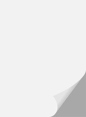 White curled paper corner with shadow. 3D page corner spun. Empty sheet of paper.