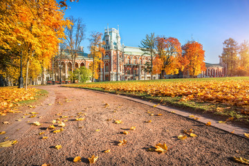 Дворец Царицыно и листья Tsaritsyno Palace in Moscow and leaves on a path