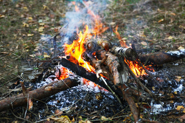 A fire made of branches and logs.