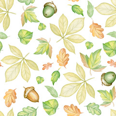 Autumn leaves, acorns, on an isolated background. Watercolor seamless pattern, on an isolated background.