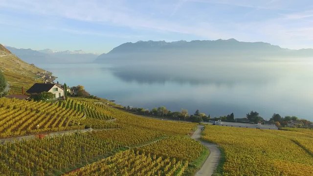 Lavaux, Switzerland - October 30, 2015: The Lavaux is a famous wine-growing region in the canton of Vaud in Switzerland on the northeastern shore of Lake Geneva, extending between Lausanne and Vevey