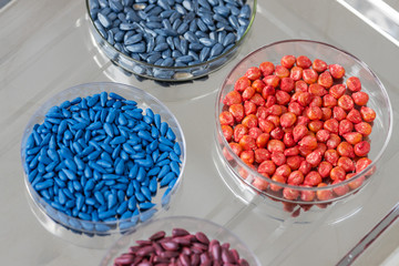 Herbicide-treated sunflower and corn seeds in a Petri dish on a metal tray