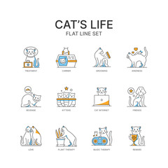 The life of a cat. Linear vector icons with blue and yellow shading.