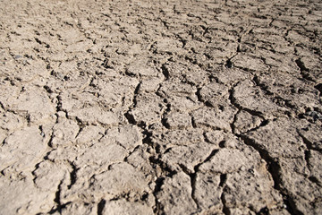 Land with dry cracked ground
