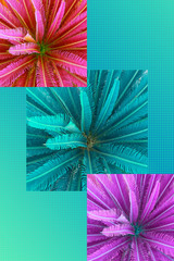 Contemporary collage. Geometric composition with palm trees in bright pink turquoise colors. Summer concept, abstraction.