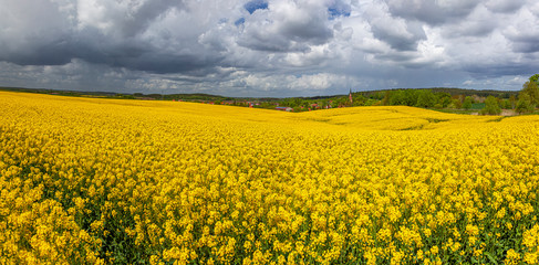 Gietrzwałd - wieś na Warmii i  mazurach, Polska - krajobraz wiosenny, kwitnący rzepak. Bazylika Narodzenia Najświętszej Maryi Panny w Gietrzwałdzie. © Grzej