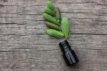 Small bottles of coniferous essential oil and green spruce tips on wooden background with copy space. Close up, top view